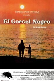 El corcel negro