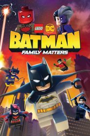 LEGO DC Batman: La Bat-familia importa